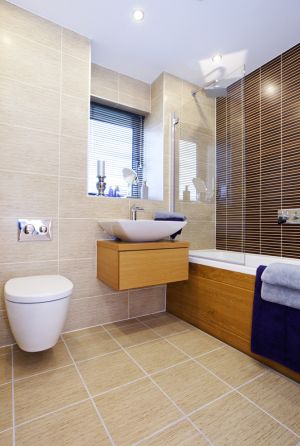 thirston extra bath 2 sm.jpg